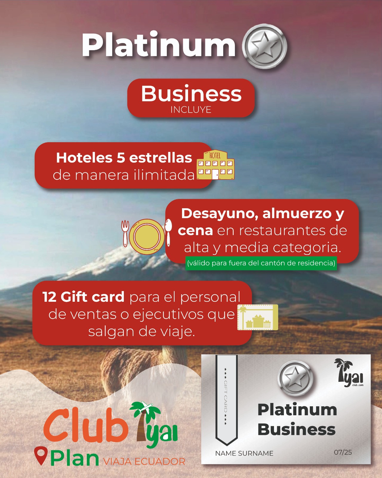 Plan Platinum